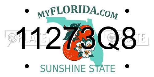 11273Q8 Florida License Plate