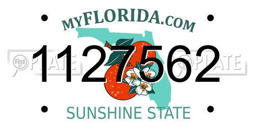 1127562 Florida License Plate
