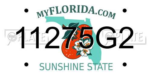 11275G2 Florida License Plate