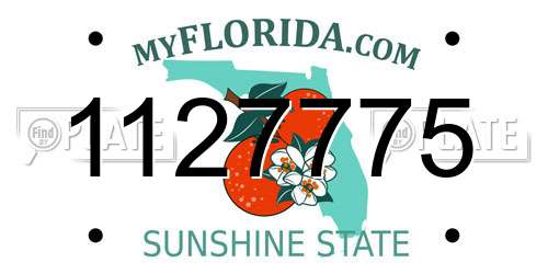 1127775 Florida License Plate