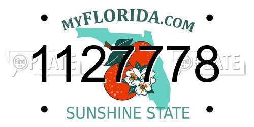 1127778 Florida License Plate