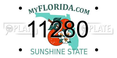 11280 Florida License Plate