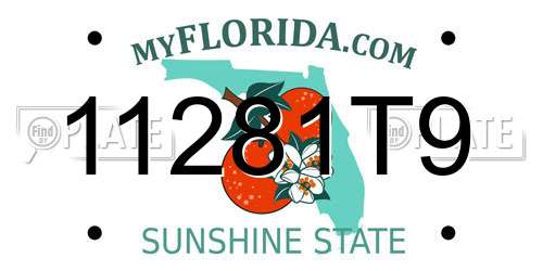 11281T9 Florida License Plate