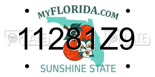 11281Z9 Florida License Plate