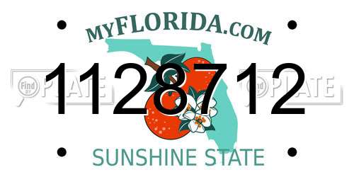 1128712 Florida License Plate