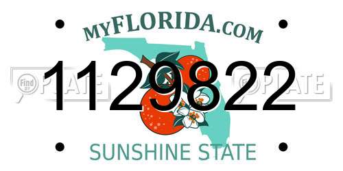 1129822 Florida License Plate