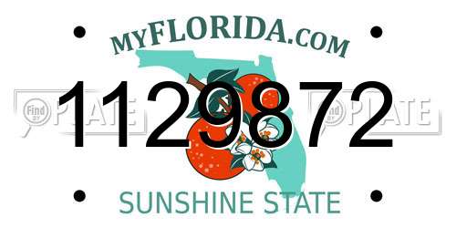 1129872 Florida License Plate