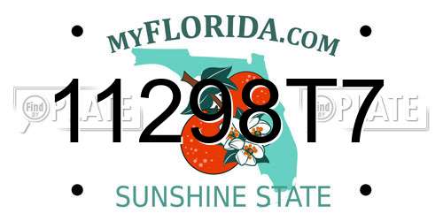 11298T7 Florida License Plate