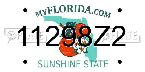 11298Z2 Florida License Plate