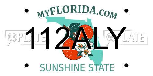 112ALY Florida License Plate