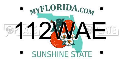 112WAE Florida License Plate