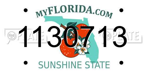 1130713 Florida License Plate