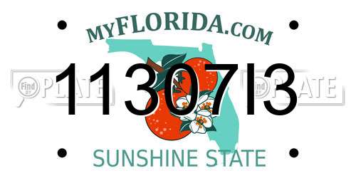 11307I3 Florida License Plate
