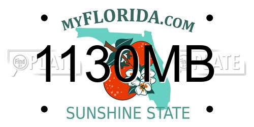 1130MB Florida License Plate