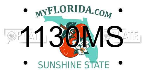 1130MS Florida License Plate