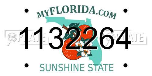 1132264 Florida License Plate
