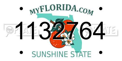 1132764 Florida License Plate