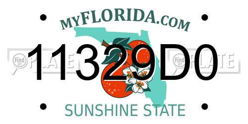11329D0 Florida License Plate