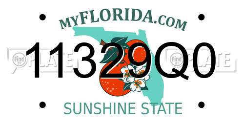 11329Q0 Florida License Plate