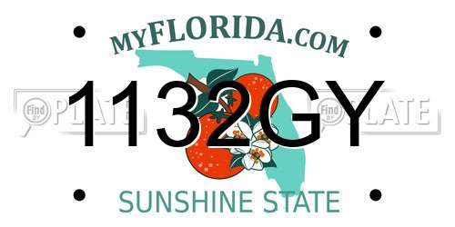 1132GY Florida License Plate