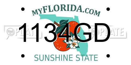 1134GD Florida License Plate