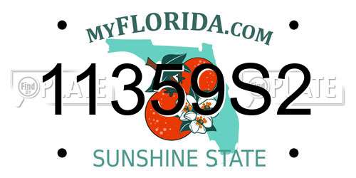 11359S2 Florida License Plate