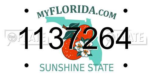 1137264 Florida License Plate