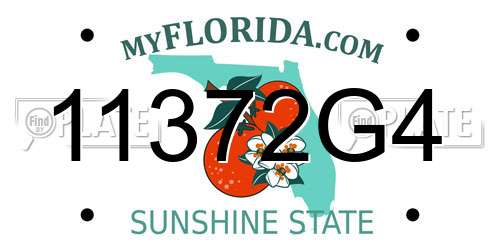 11372G4 Florida License Plate