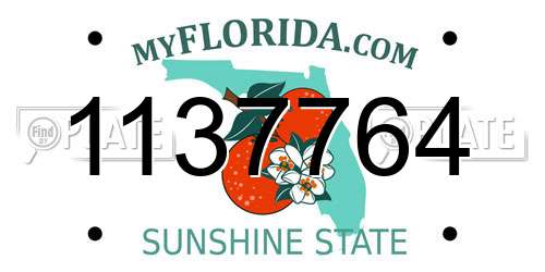 1137764 Florida License Plate