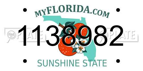 1138982 Florida License Plate