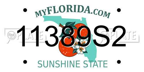 11389S2 Florida License Plate