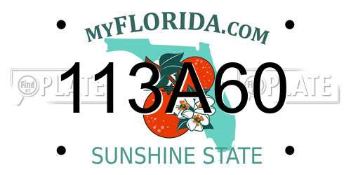 113A60 Florida License Plate