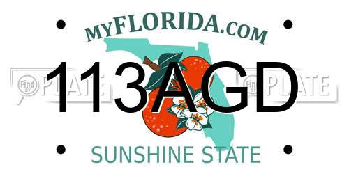 113AGD Florida License Plate