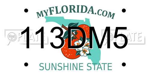 113DM5 Florida License Plate