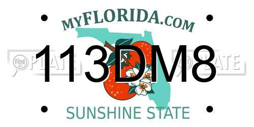 113DM8 Florida License Plate