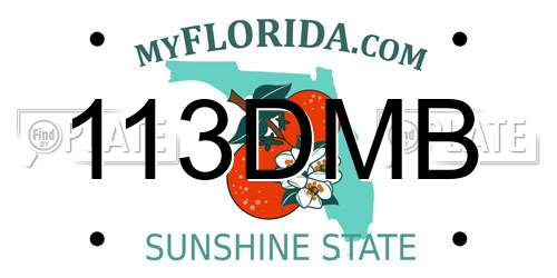 113DMB Florida License Plate