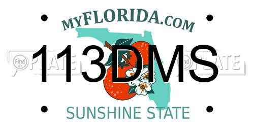 113DMS Florida License Plate