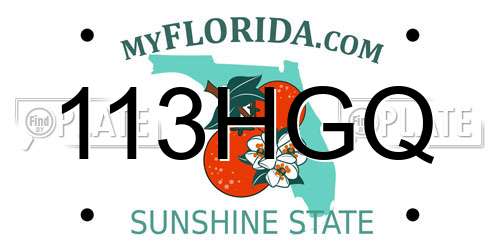 113HGQ Florida License Plate