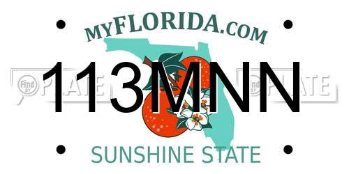 113MNN Florida License Plate