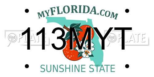 113MYT Florida License Plate