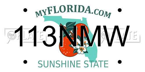 113NMW Florida License Plate