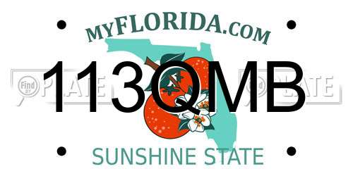 113QMB Florida License Plate
