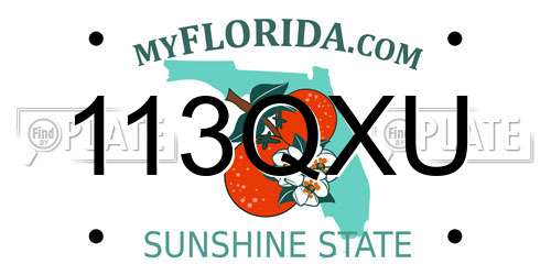 113QXU Florida License Plate