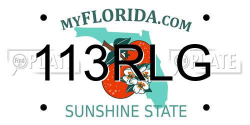 113RLG Florida License Plate