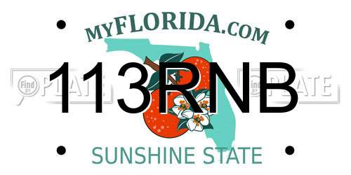 113RNB Florida License Plate