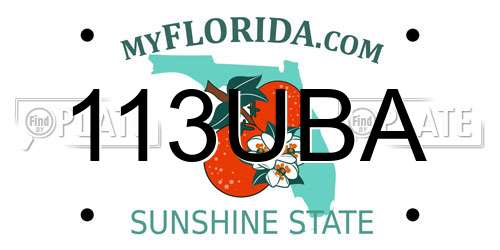 113UBA Florida License Plate
