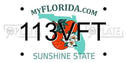 113VFT Florida License Plate