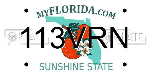 113VRN Florida License Plate