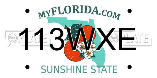 113WXE Florida License Plate