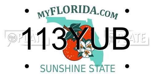 113YUB Florida License Plate